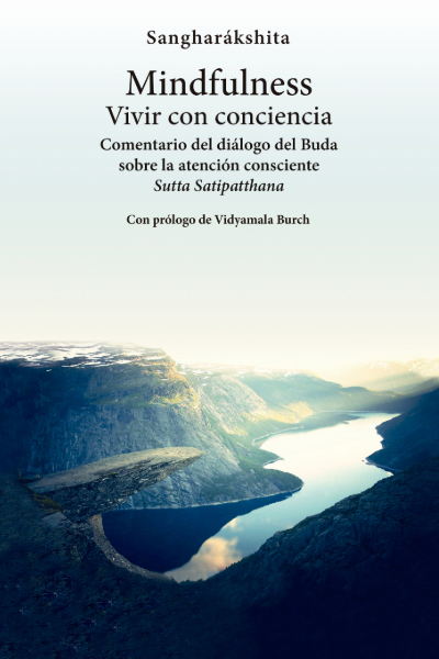 En este momento estás viendo Mindfulness: Vivir con conciencia